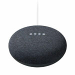 Google Nest Mini