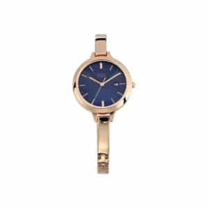 Titan Raga NN2578WM02 Blue Dial Metal Watch