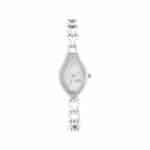 Titan Raga NM2457SM01 Silver Dial Silver Metal Watch