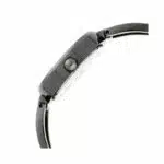 Titan Raga NN2579QM01 Viva Anthracite Dial Metal Watch - Image 4