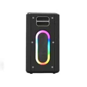 HiFuture MusicBox Karaoke 100W Speaker