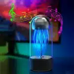 JILLYFISH Acoustics Portable Bluetooth Speaker (BHSG-02)