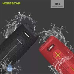 HOPESTAR H50 Dual Party Bluetooth Speaker