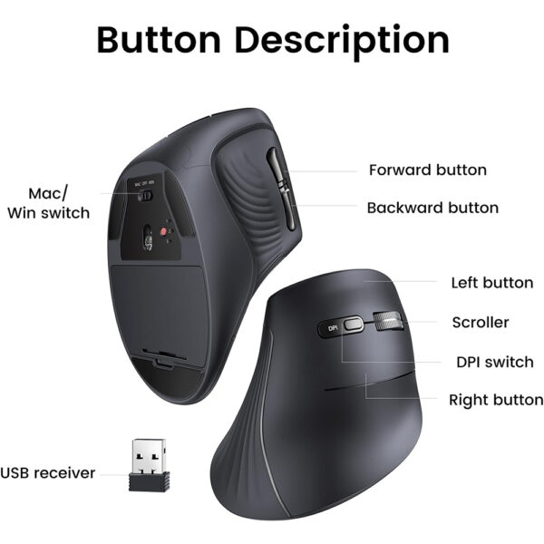 Ugreen MU008 Multi mode Vertical Wireless Mouse 3