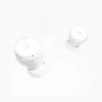 HIFIMAN TWS450 True Wireless Earbud