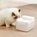 Xiaomi Mijia Wireless Smart Pet Water Dispenser Fountain 3L
